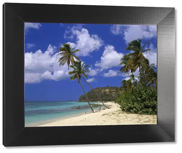 Darkwood Beach, Antigua, Leeward Islands, Caribbean, West Indies, Central America