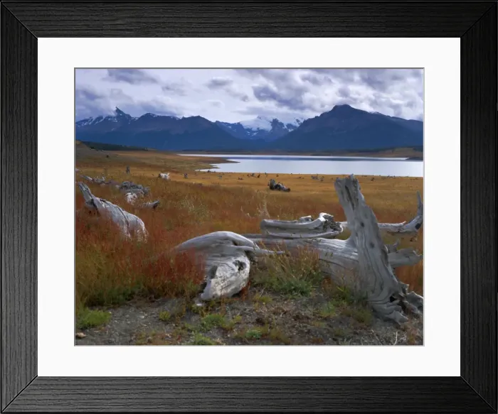 Framed Print : Lake Roca, Calafate Roca National Reserve, Patagonia, Argentina, South America Framed Print : Lake Roca, Calafate Roca National Reserve, Patagonia, Argentina, South America