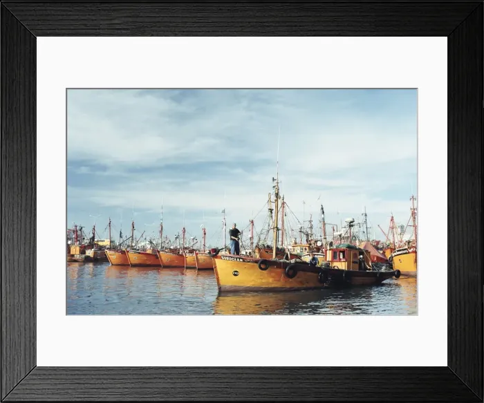 Framed Print : Fishing fleet in port, Mar del Plata, Argentina, South America Framed Print : Fishing fleet in port, Mar del Plata, Argentina, South America