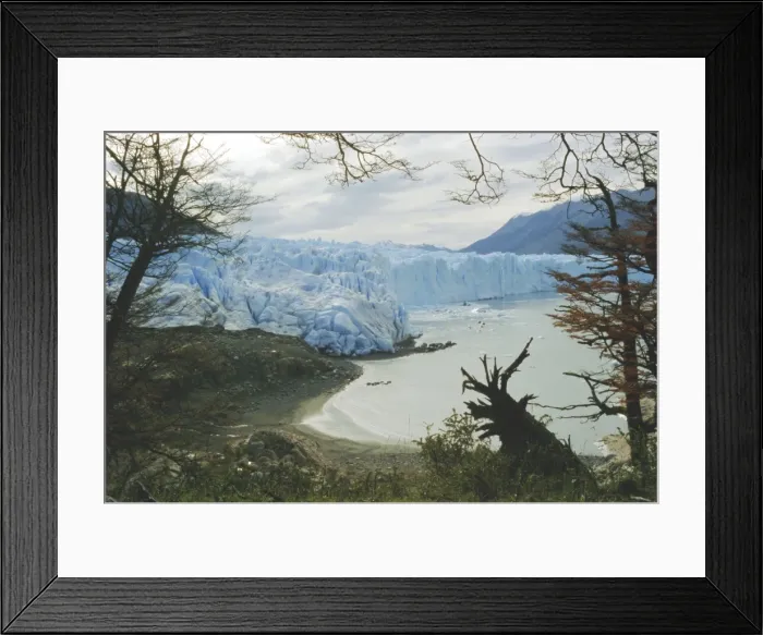 Framed Print : Glacier, Perito Moreno, Argentina, South America Framed Print : Glacier, Perito Moreno, Argentina, South America