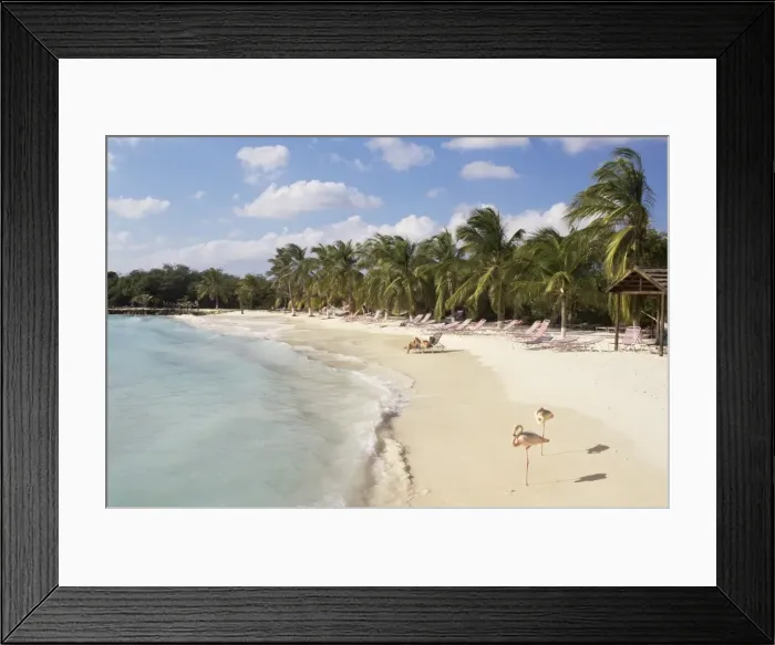 Framed Print : Sonesta Island, Aruba, West Indies, Dutch Caribbean, Central America Framed Print : Sonesta Island, Aruba, West Indies, Dutch Caribbean, Central America