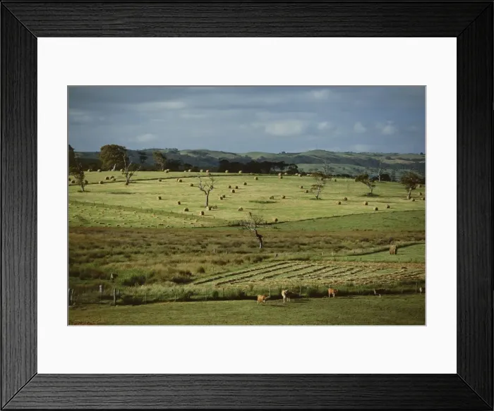 Framed Print : Farmland near Willunga, Fleurieu Peninsula, south of Adelaide, South Australia Framed Print : Farmland near Willunga, Fleurieu Peninsula, south of Adelaide, South Australia