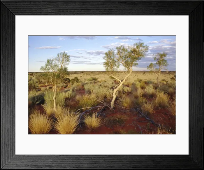 Framed Print : Red Centre landscape near Uluru, Yulara, Northern Territory, Australia Framed Print : Red Centre landscape near Uluru, Yulara, Northern Territory, Australia