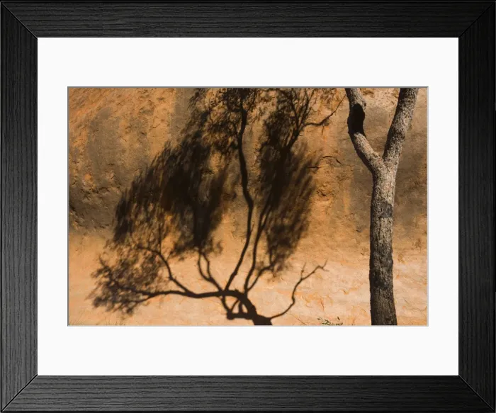 Framed Print : Shadow of tree on Uluru (Ayers Rock), Uluru-Kata Tjuta National Park, Northern Territory Framed Print : Shadow of tree on Uluru (Ayers Rock), Uluru-Kata Tjuta National Park, Northern Territory