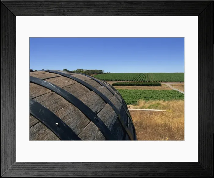 Framed Print : Old wine barrel, Maxwell Wines, McLaren Vale, South Australia, Australia, Pacific Framed Print : Old wine barrel, Maxwell Wines, McLaren Vale, South Australia, Australia, Pacific