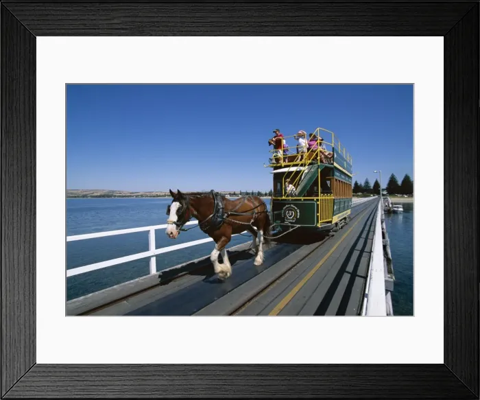 Framed Print : Horse drawn tram, Victor Harbour, South Australia, Australia, Pacific Framed Print : Horse drawn tram, Victor Harbour, South Australia, Australia, Pacific