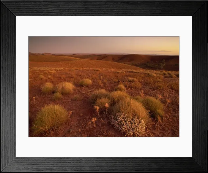 Framed Print : Stokes Lookout, Flinders Range, South Australia, Australia, Pacific Framed Print : Stokes Lookout, Flinders Range, South Australia, Australia, Pacific