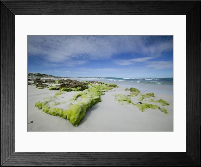 Framed Print : Beach at the coast, Kangaroo Island, South Australia, Australia Framed Print : Beach at the coast, Kangaroo Island, South Australia, Australia