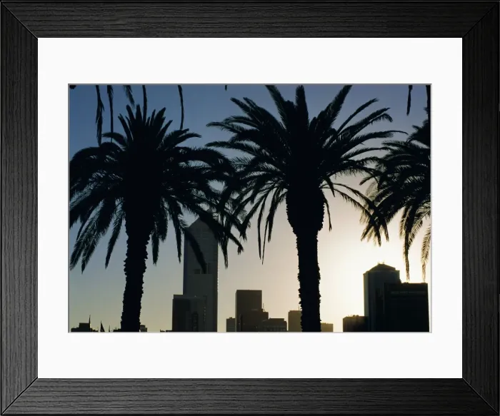 Framed Print : Silhouettes of palms and city buildings from Docklands, Melbourne, Victoria, Australia Framed Print : Silhouettes of palms and city buildings from Docklands, Melbourne, Victoria, Australia