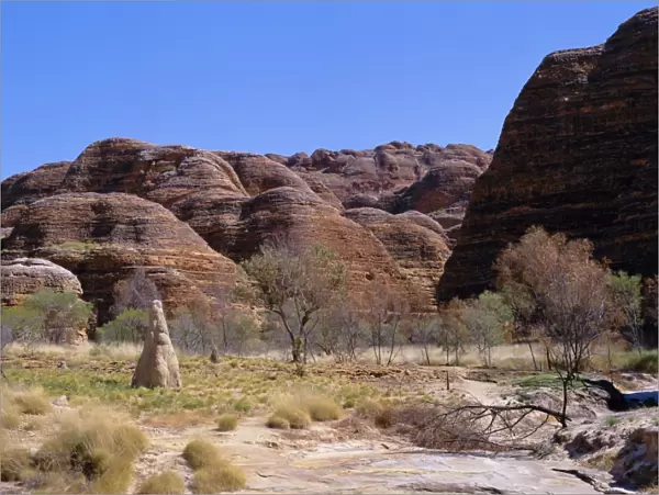 Termite mound, grasses and trees with typical rounded rocks in the background