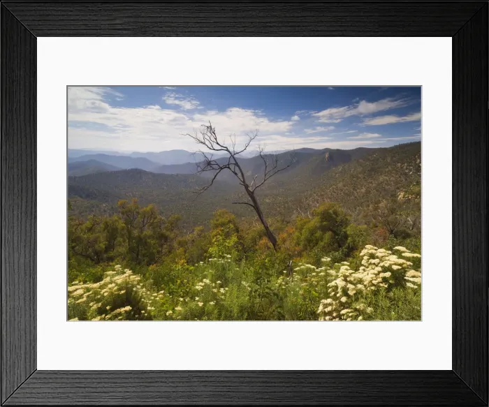 Framed Print : Alpine High Country, Snowy River National Park, Victoria, Australia, Pacific Framed Print : Alpine High Country, Snowy River National Park, Victoria, Australia, Pacific