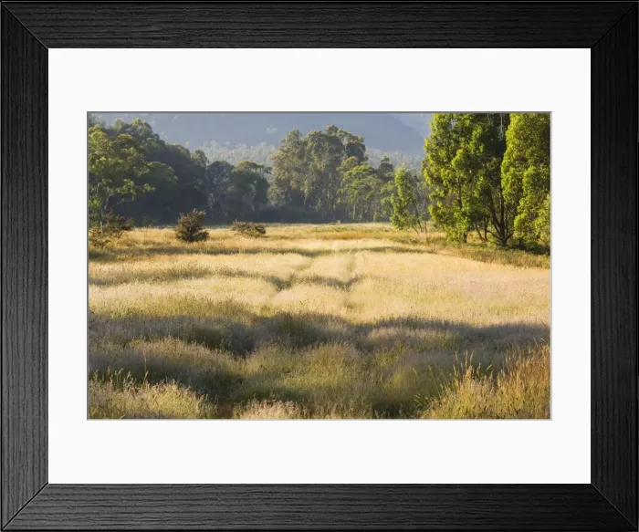 Framed Print : Geehi, Kosciuszko National Park, New South Wales, Australia, Pacific Framed Print : Geehi, Kosciuszko National Park, New South Wales, Australia, Pacific