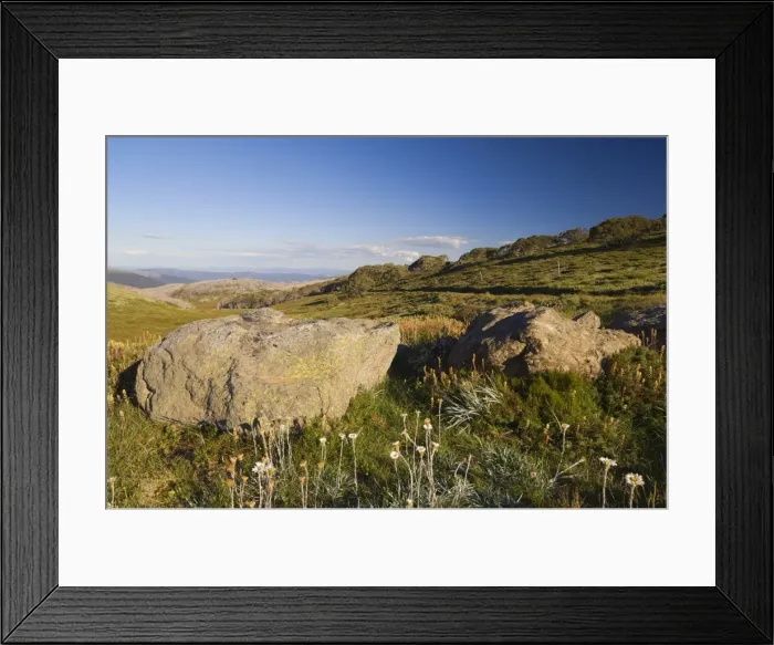 Framed Print : High Country, Bogong High Plains, Apline National Park, Victoria, Australia, Pacific Framed Print : High Country, Bogong High Plains, Apline National Park, Victoria, Australia, Pacific