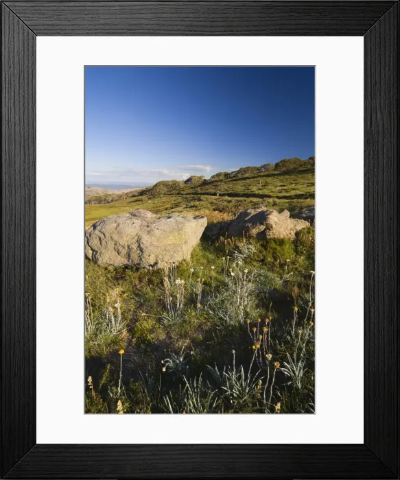 Framed Print : High Country, Bogong High Plains, Apline National Park, Victoria, Australia, Pacific Framed Print : High Country, Bogong High Plains, Apline National Park, Victoria, Australia, Pacific