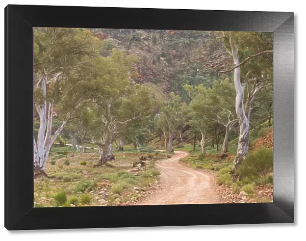 Brachina Gorge, Flinders Ranges National Park, South Australia, Australia, Pacific
