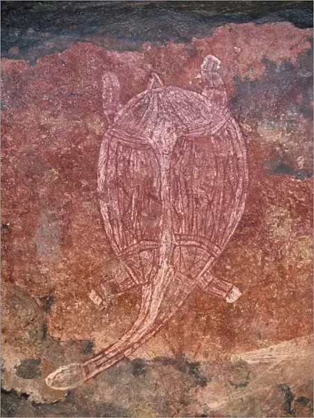 Painting of turtle at the aboriginal rock art site at Obirr Rock in Kakadu National Park where the paintings date from 20000 years old to modern, UNESCO World Heritage Site, Northern Territory