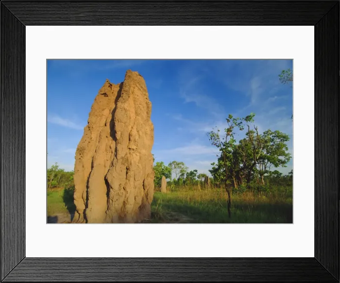 Framed Print : Termite cathedral by the Arnhem Highway near the Mary River Crossing between Darwin Framed Print : Termite cathedral by the Arnhem Highway near the Mary River Crossing between Darwin