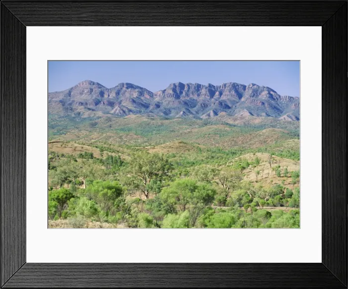 Framed Print : Looking towards the eastern escarpment of Wilpena Pound, a huge natural basin Framed Print : Looking towards the eastern escarpment of Wilpena Pound, a huge natural basin