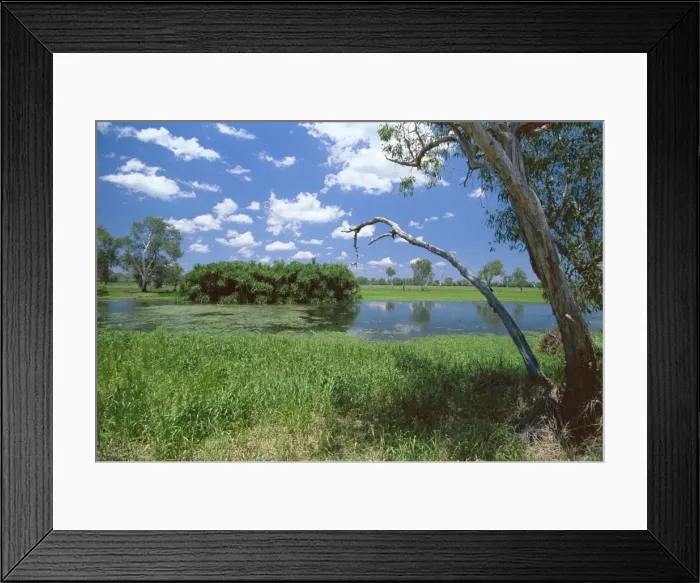 Framed Print : The Yellow Water wetlands on floodplain of the Alligator River, Kakadu National Park Framed Print : The Yellow Water wetlands on floodplain of the Alligator River, Kakadu National Park