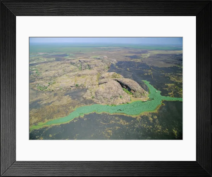 Framed Print : Aerial of a billabong, the backwater of a river on the floodplain of the East Alligator River near the border of Arnhemland and Kakadu National Park, Northern Framed Print : Aerial of a billabong, the backwater of a river on the floodplain of the East Alligator River near the border of Arnhemland and Kakadu National Park, Northern