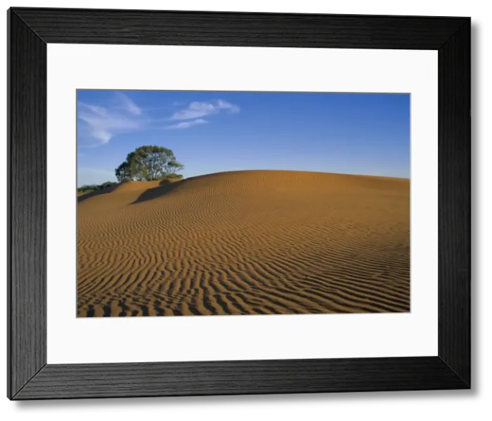 Framed Print : Perry Sandhills near Wentworth, New South Wales, Australia Framed Print : Perry Sandhills near Wentworth, New South Wales, Australia
