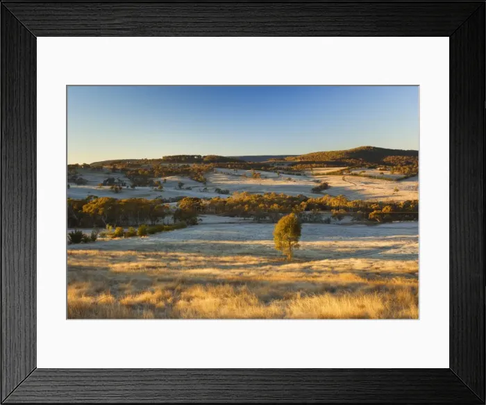Framed Print : Field and hoar frost, Great Dividing Range, near Goulburn, New South Wales Framed Print : Field and hoar frost, Great Dividing Range, near Goulburn, New South Wales