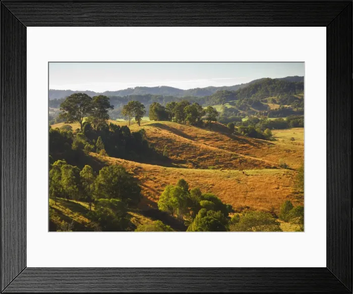 Framed Print : Farmland, Murwillumbah, New South Wales, Australia, Pacific Framed Print : Farmland, Murwillumbah, New South Wales, Australia, Pacific