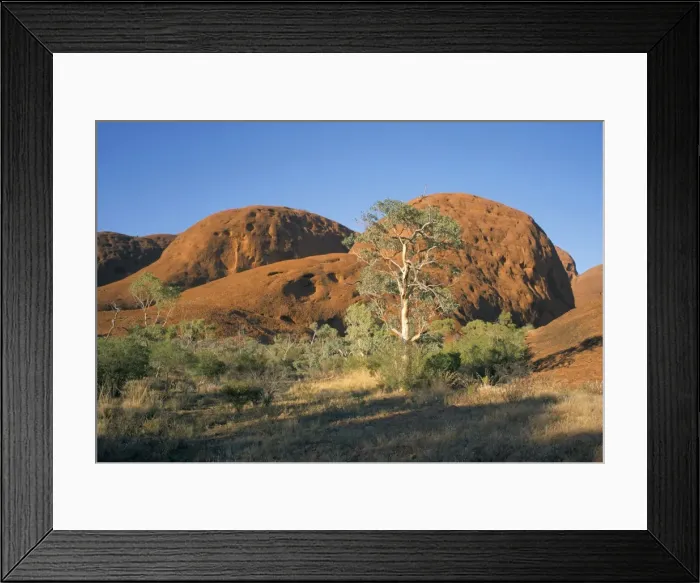 Framed Print : Unusual weathered rock formation, the Olgas, Northern Territory, Australia, Pacific Framed Print : Unusual weathered rock formation, the Olgas, Northern Territory, Australia, Pacific