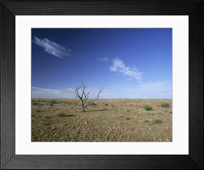 Framed Print : Arid landscape, the Outback, South Australia, Australia, Pacific Framed Print : Arid landscape, the Outback, South Australia, Australia, Pacific
