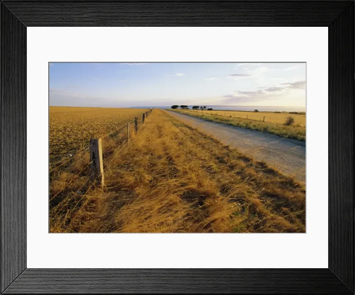 Framed Print : Outback road, Cape Jervis, South Australia, Australia Framed Print : Outback road, Cape Jervis, South Australia, Australia