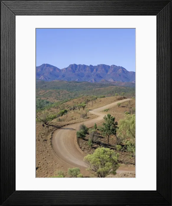 Framed Print : Umbrella wattles, Bunyeroo Valley, Flinders Range, South Australia, Australia Framed Print : Umbrella wattles, Bunyeroo Valley, Flinders Range, South Australia, Australia