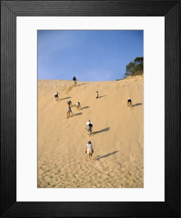 Framed Print : Climbing sand cliff, Great Sandy National Park, Fraser Island, UNESCO World Heritage Site Framed Print : Climbing sand cliff, Great Sandy National Park, Fraser Island, UNESCO World Heritage Site