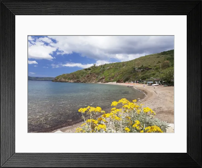 Framed Print : Innamorata beach, Golfo Stella, Island of Elba, Livorno Province, Tuscany, Italy, Europe Framed Print : Innamorata beach, Golfo Stella, Island of Elba, Livorno Province, Tuscany, Italy, Europe
