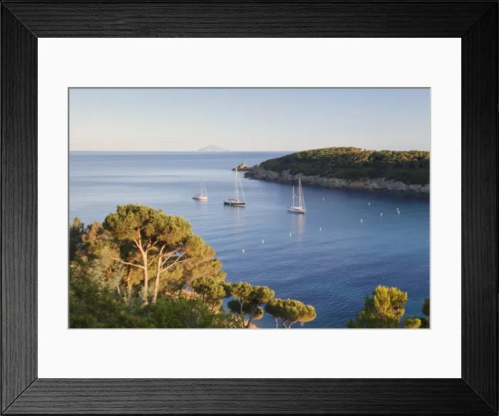 Framed Print : Sailing boats in the bay of Fetovaia at sunset, Island of Elba, Livorno Province Framed Print : Sailing boats in the bay of Fetovaia at sunset, Island of Elba, Livorno Province
