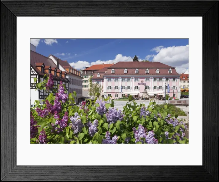 Framed Print : Donaueschingen, Black Forest, Baden Wurttemberg, Germany, Europe Framed Print : Donaueschingen, Black Forest, Baden Wurttemberg, Germany, Europe