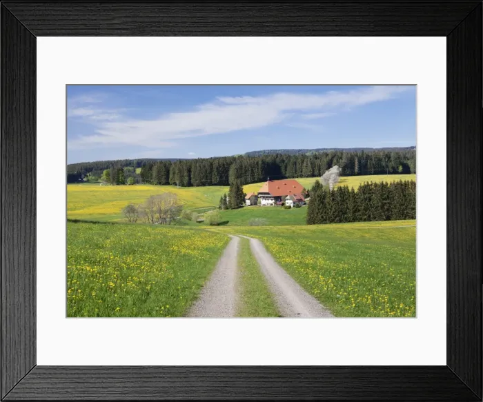 Framed Print : Unterfallengrundhof (farmhouse) in spring, Guetenbach, Black Forest, Baden Wurttemberg Framed Print : Unterfallengrundhof (farmhouse) in spring, Guetenbach, Black Forest, Baden Wurttemberg