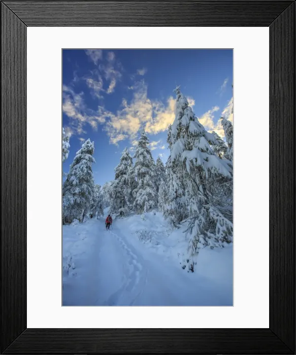 Framed Print : Hiker on snowshoes ventures in snowy woods, Casera Lake, Livrio Valley, Orobie Alps Framed Print : Hiker on snowshoes ventures in snowy woods, Casera Lake, Livrio Valley, Orobie Alps