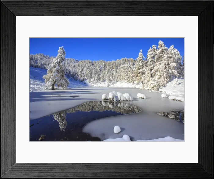 Framed Print : Snow covered trees reflected in the Casera Lake, Livrio Valley, Orobie Alps, Valtellina Framed Print : Snow covered trees reflected in the Casera Lake, Livrio Valley, Orobie Alps, Valtellina
