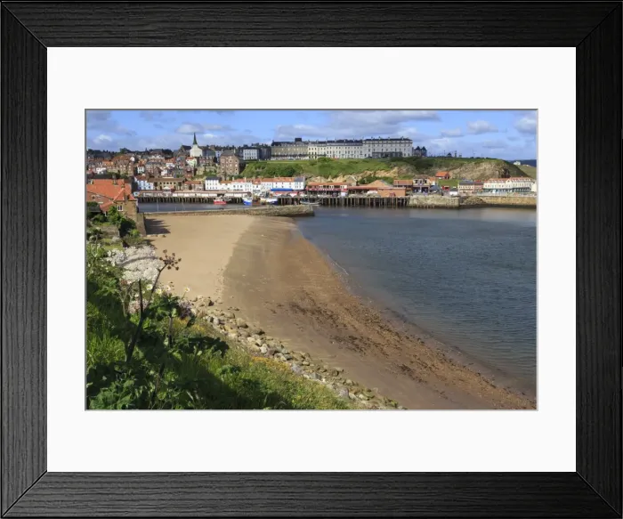 Framed Print : Tate Hill Beach, cliff side wild spring flowers, view to town and West Cliff, Whitby Framed Print : Tate Hill Beach, cliff side wild spring flowers, view to town and West Cliff, Whitby