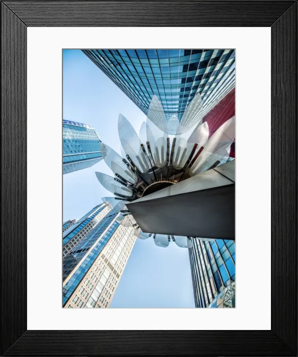 Framed Print : Glass and metal Lotus installation in front of HSBC Bank with surrounding new skyscrapers Framed Print : Glass and metal Lotus installation in front of HSBC Bank with surrounding new skyscrapers