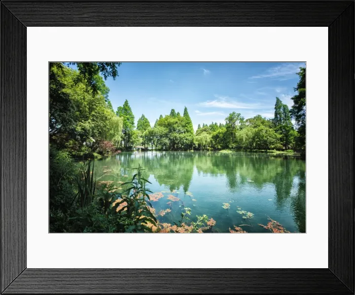 Framed Print : Peaceful lake scene with greenery at one of the lesser known spots at West Lake in Hangzhou Framed Print : Peaceful lake scene with greenery at one of the lesser known spots at West Lake in Hangzhou