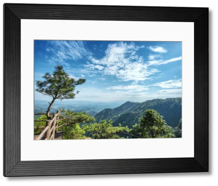 Framed Print : Pine tree and green mountains at Tian Mu Shan Four Sides peak, Zhejiang, China, Asia Framed Print : Pine tree and green mountains at Tian Mu Shan Four Sides peak, Zhejiang, China, Asia