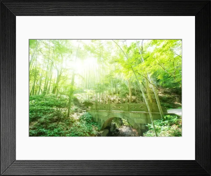 Framed Print : Old stone bridge and lush foliage in the Yun Qi Bamboo Forest, Zhejiang, China, Asia Framed Print : Old stone bridge and lush foliage in the Yun Qi Bamboo Forest, Zhejiang, China, Asia