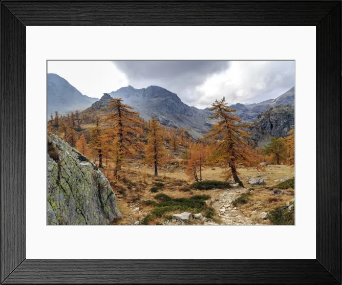 Framed Print : Autumn landscape at the Natural Park of Mont Avic, Aosta Valley, Graian Alps, Italy Framed Print : Autumn landscape at the Natural Park of Mont Avic, Aosta Valley, Graian Alps, Italy