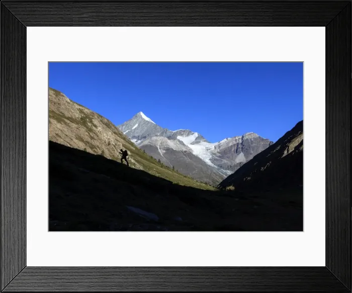 Framed Print : Hiker climbs the ridge and in the background the Weisshorn, Tasch Valley, Zermatt Framed Print : Hiker climbs the ridge and in the background the Weisshorn, Tasch Valley, Zermatt