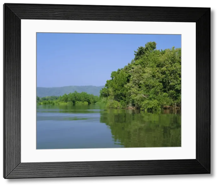 Framed Print : Daintree River, Cape Tribulation National Park, Queensland, Australia Framed Print : Daintree River, Cape Tribulation National Park, Queensland, Australia