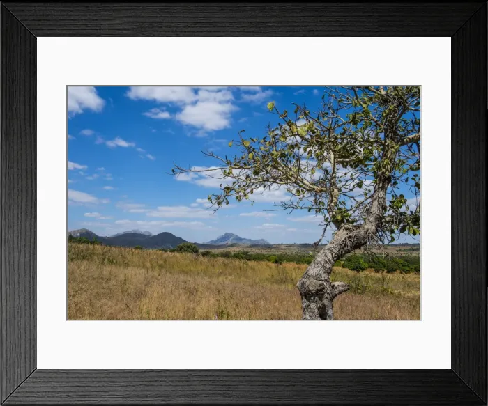 Framed Print : Chongoni Rock-Art Area, UNESCO World Heritage Site, Malawi, Africa Framed Print : Chongoni Rock-Art Area, UNESCO World Heritage Site, Malawi, Africa