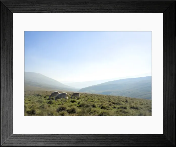 Framed Print : View in The Brecon Beacons National Park, Wales, United Kingdom, Europe Framed Print : View in The Brecon Beacons National Park, Wales, United Kingdom, Europe