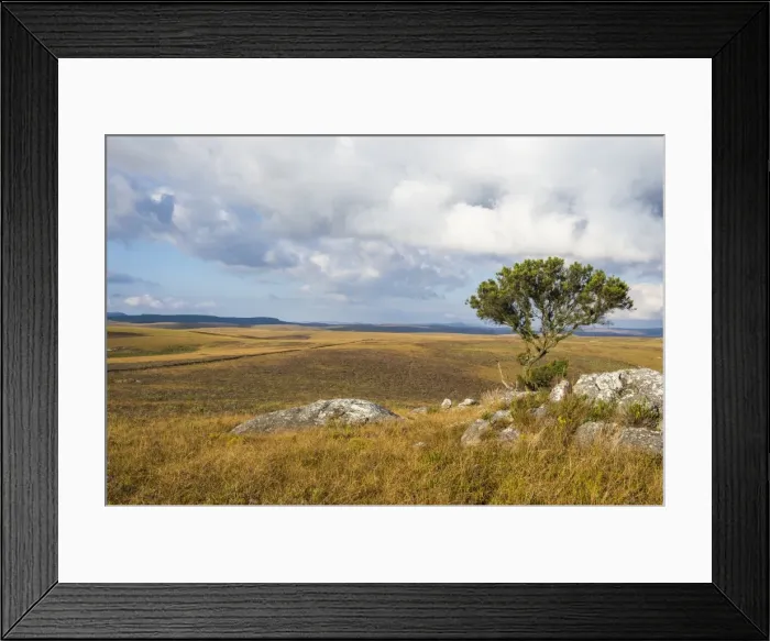 Framed Print : Overlook over the highlands of the Nyika National Park, Malawi, Africa Framed Print : Overlook over the highlands of the Nyika National Park, Malawi, Africa