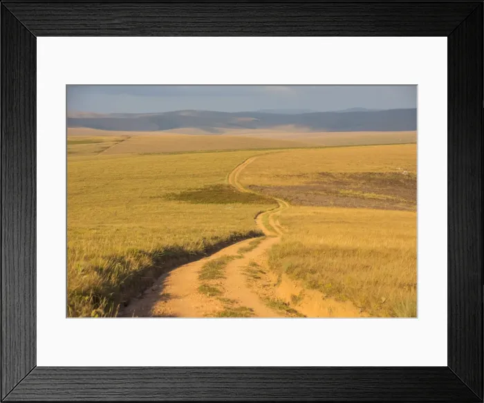 Framed Print : Dusty road leading through the Nyika National Park, Malawi, Africa Framed Print : Dusty road leading through the Nyika National Park, Malawi, Africa